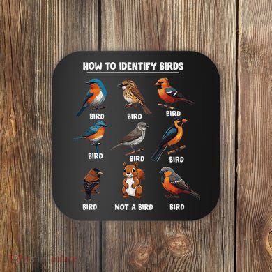 Bird How To Identify Birds Birds Lovers Watching Coaster