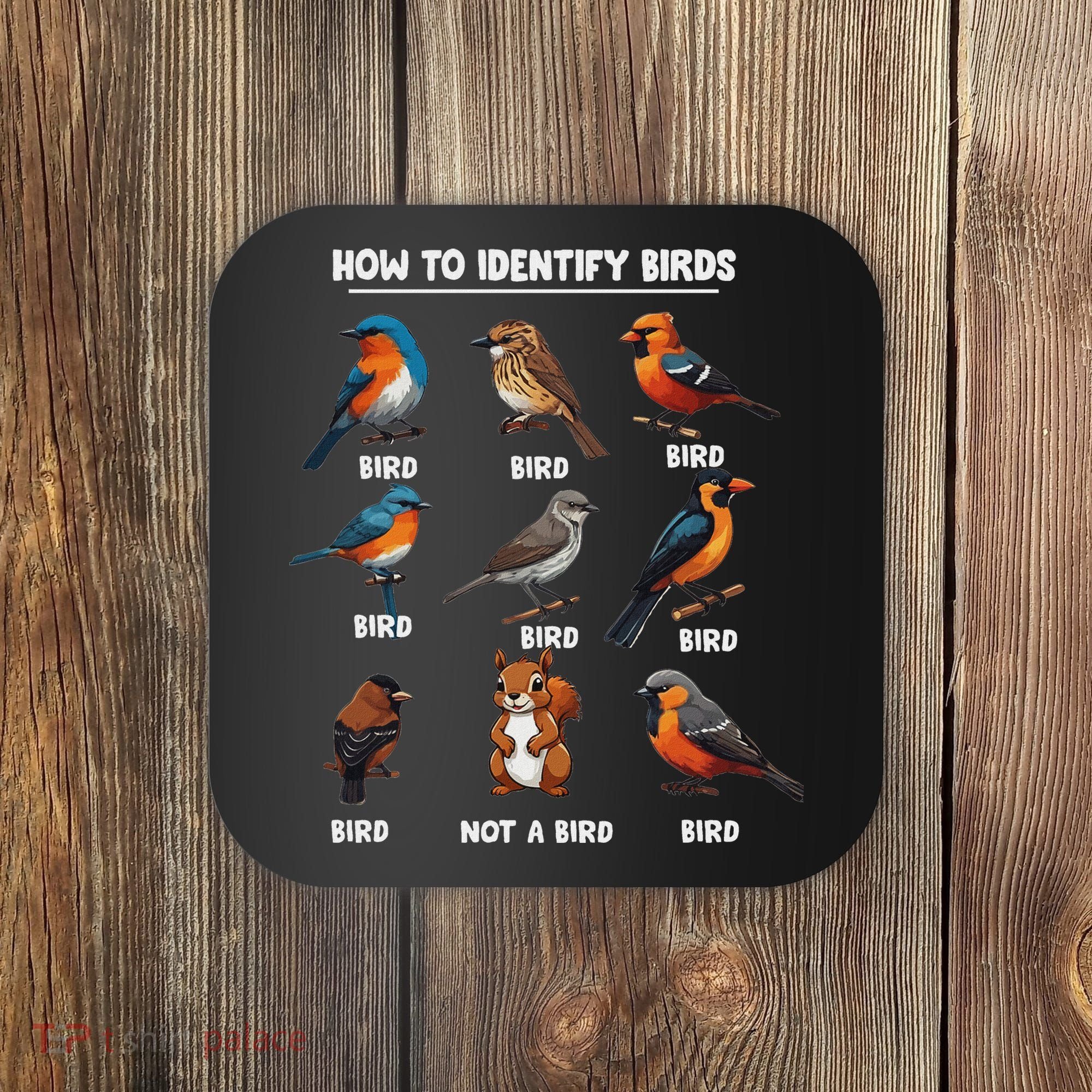 Bird How To Identify Birds Birds Lovers Watching Coaster