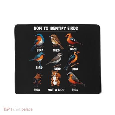 Bird How To Identify Birds Birds Lovers Watching Mousepad