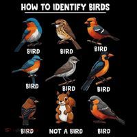 Bird How To Identify Birds Birds Lovers Watching Mousepad thumb 1