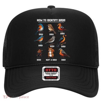 Bird How To Identify Birds Birds Lovers Watching Hat
