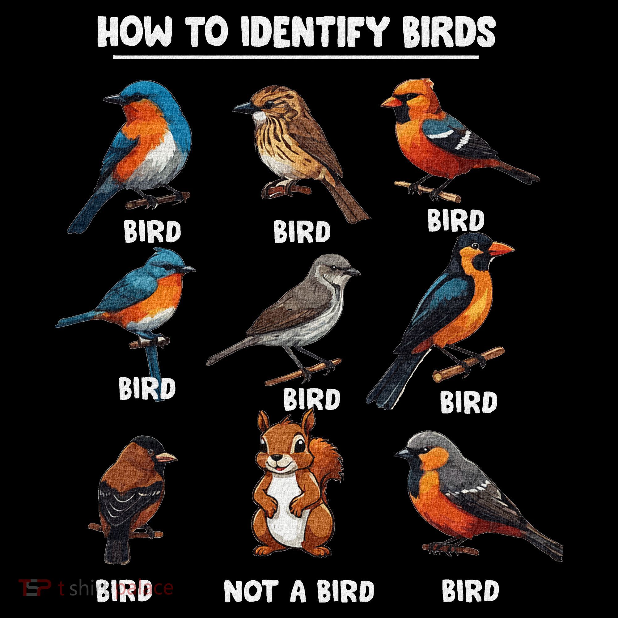 Bird How To Identify Birds Birds Lovers Watching Women's T-Shirt