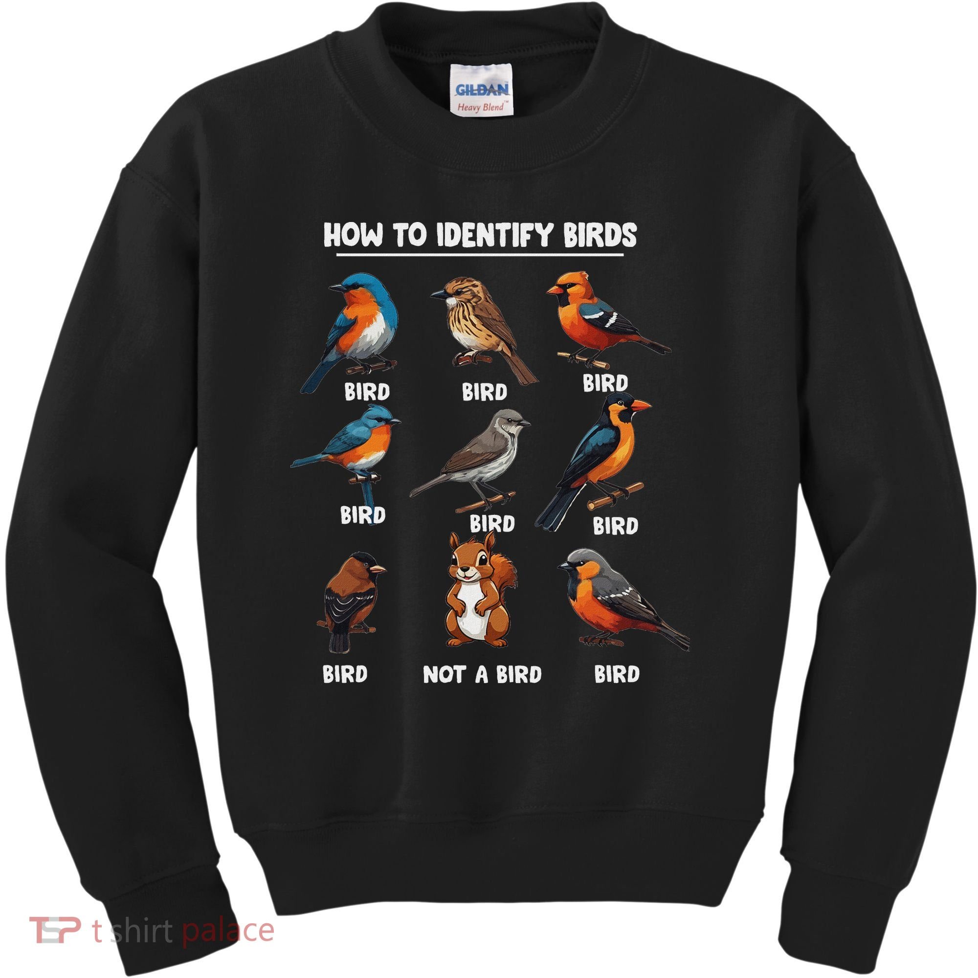 Bird How To Identify Birds Birds Lovers Watching Kids Sweatshirt