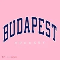 Budapest Hungary Varsity Style Toddler Hoodie thumb 2