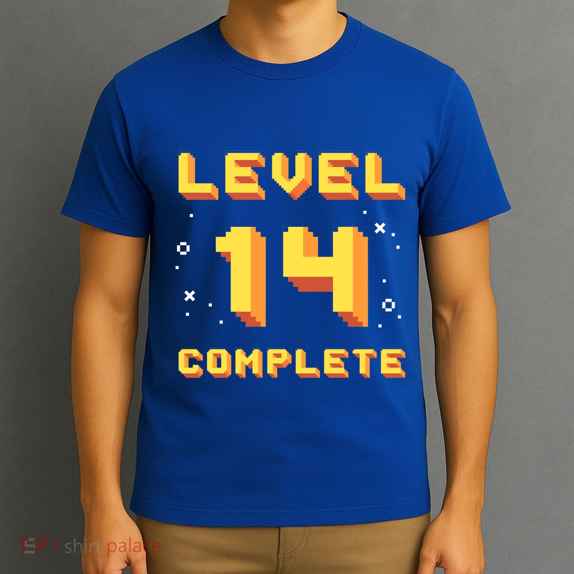 Born In 2007 Level 14 Complete 14th Birthday Retro Gaming Gift T-Shirt