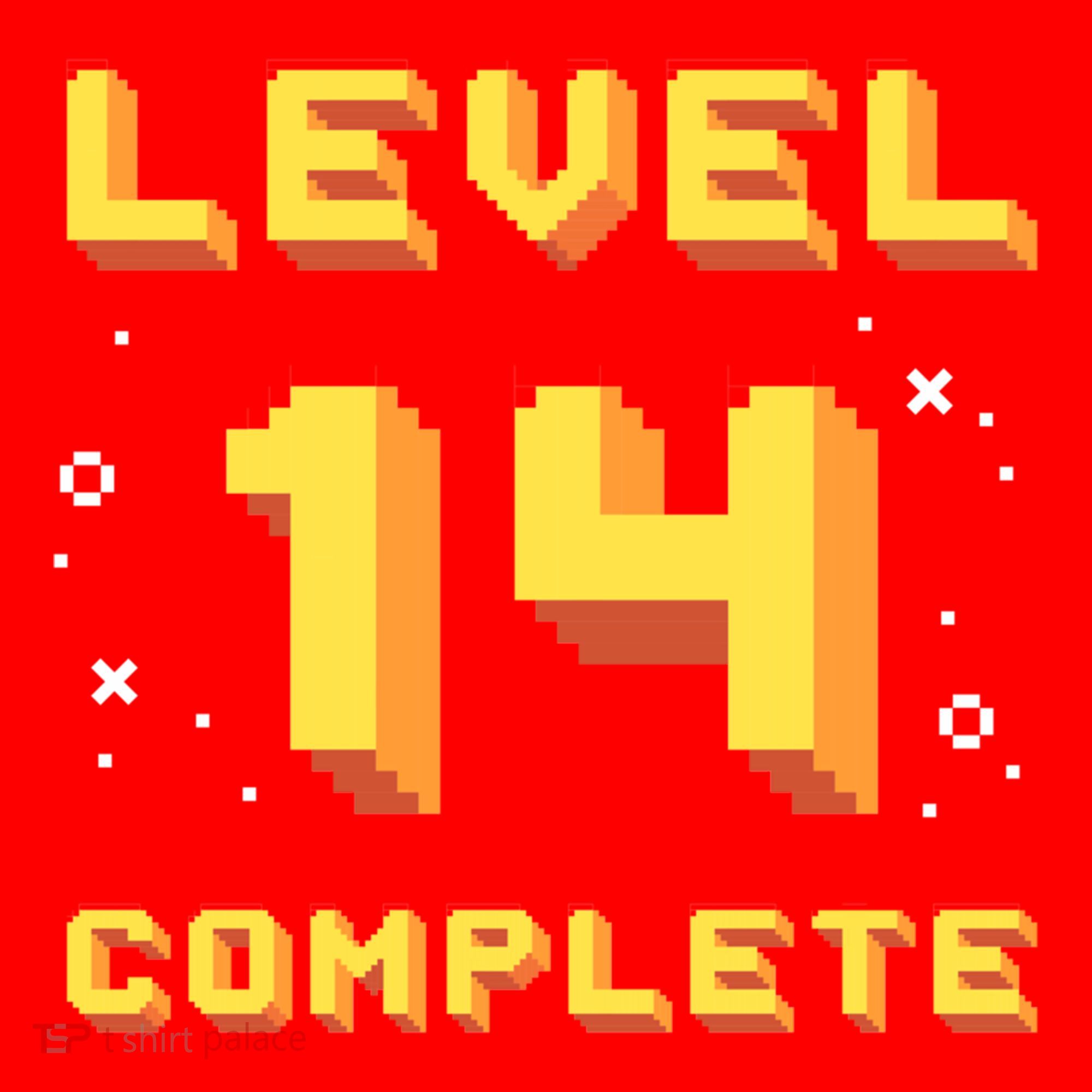 Born In 2007 Level 14 Complete 14th Birthday Retro Gaming Gift Santa Hat