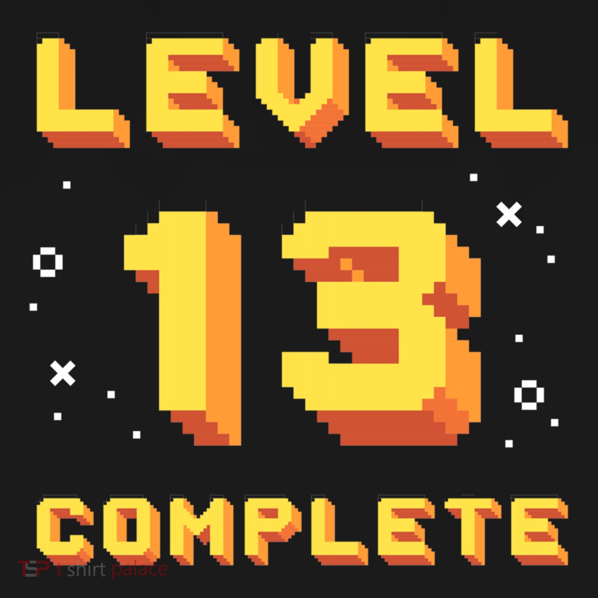 Born In 2008 Level 13 Complete 13th Birthday Retro Gaming Cute Gift Women's Hoodie