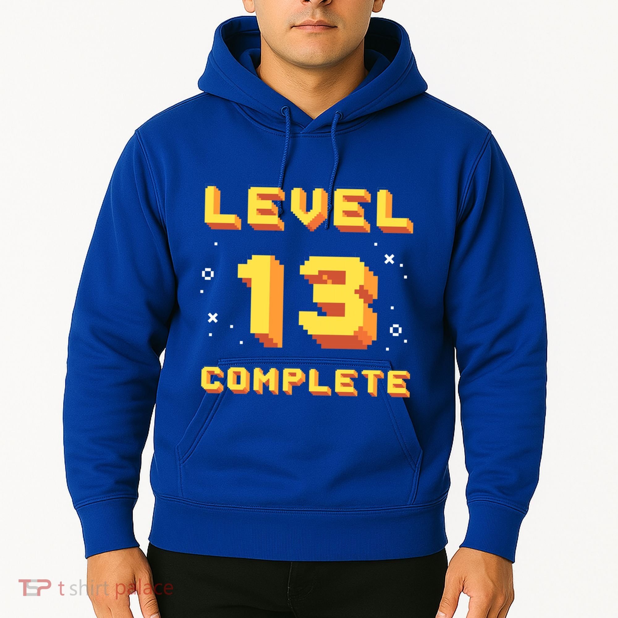 Born In 2008 Level 13 Complete 13th Birthday Retro Gaming Cute Gift Hoodie