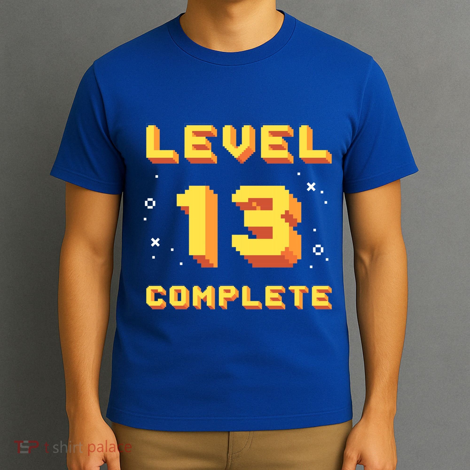 Born In 2008 Level 13 Complete 13th Birthday Retro Gaming Cute Gift T-Shirt