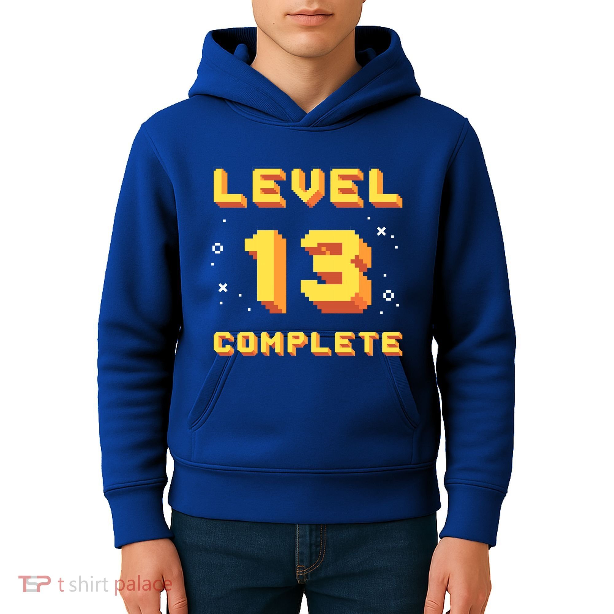 Born In 2008 Level 13 Complete 13th Birthday Retro Gaming Cute Gift Kids Hoodie