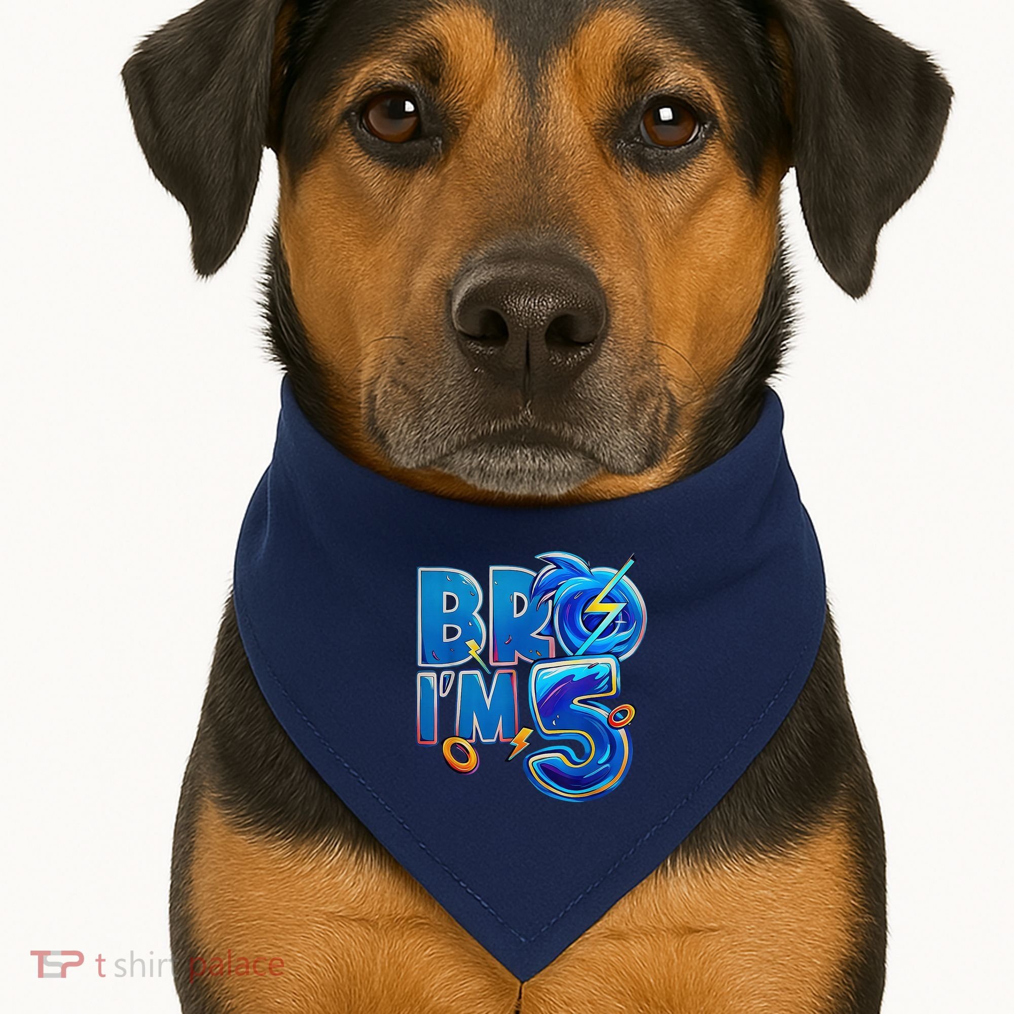 Bro I’M 5 Birthday Boy Matching Hedgehog Party USA-Made Doggie Bandana