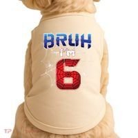 Bruh Im 6 Year Old Birthday Spider Web Boy 6th Birthday Doggie Tank thumb 0
