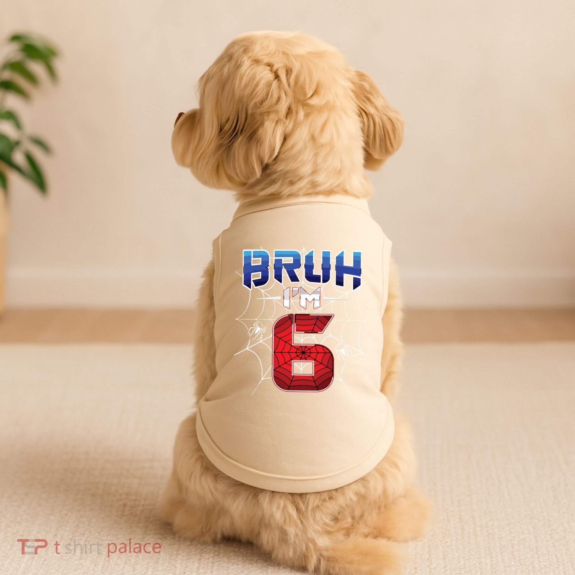 Bruh Im 6 Year Old Birthday Spider Web Boy 6th Birthday Doggie Tank