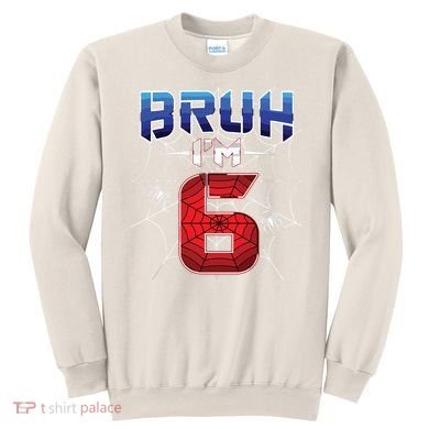 Bruh Im 6 Year Old Birthday Spider Web Boy 6th Birthday Sweatshirt