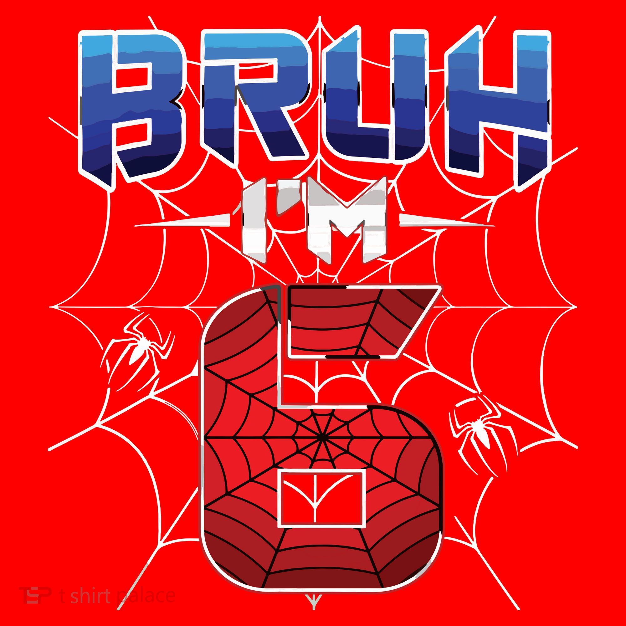 Bruh Im 6 Year Old Birthday Spider Web Boy 6th Birthday Santa Hat
