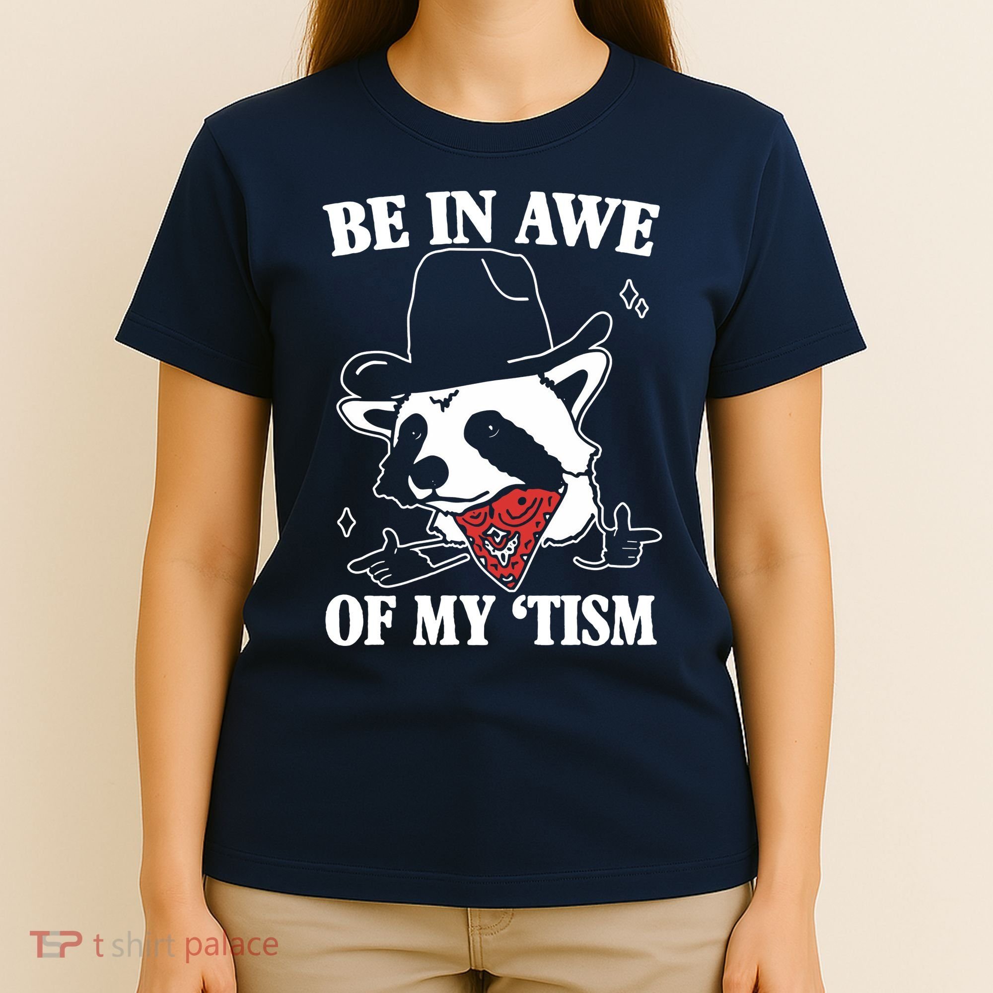 Be In Awe Of My Autism Funny Raccoon T-Shirt
