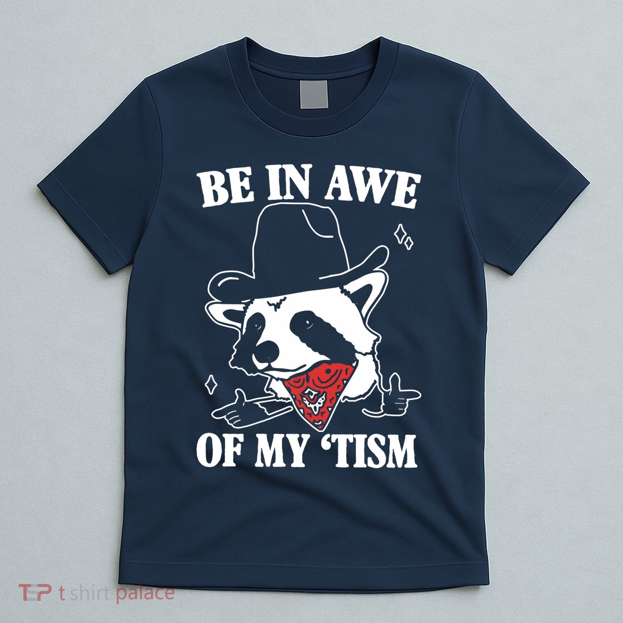 Be In Awe Of My Autism Funny Raccoon T-Shirt
