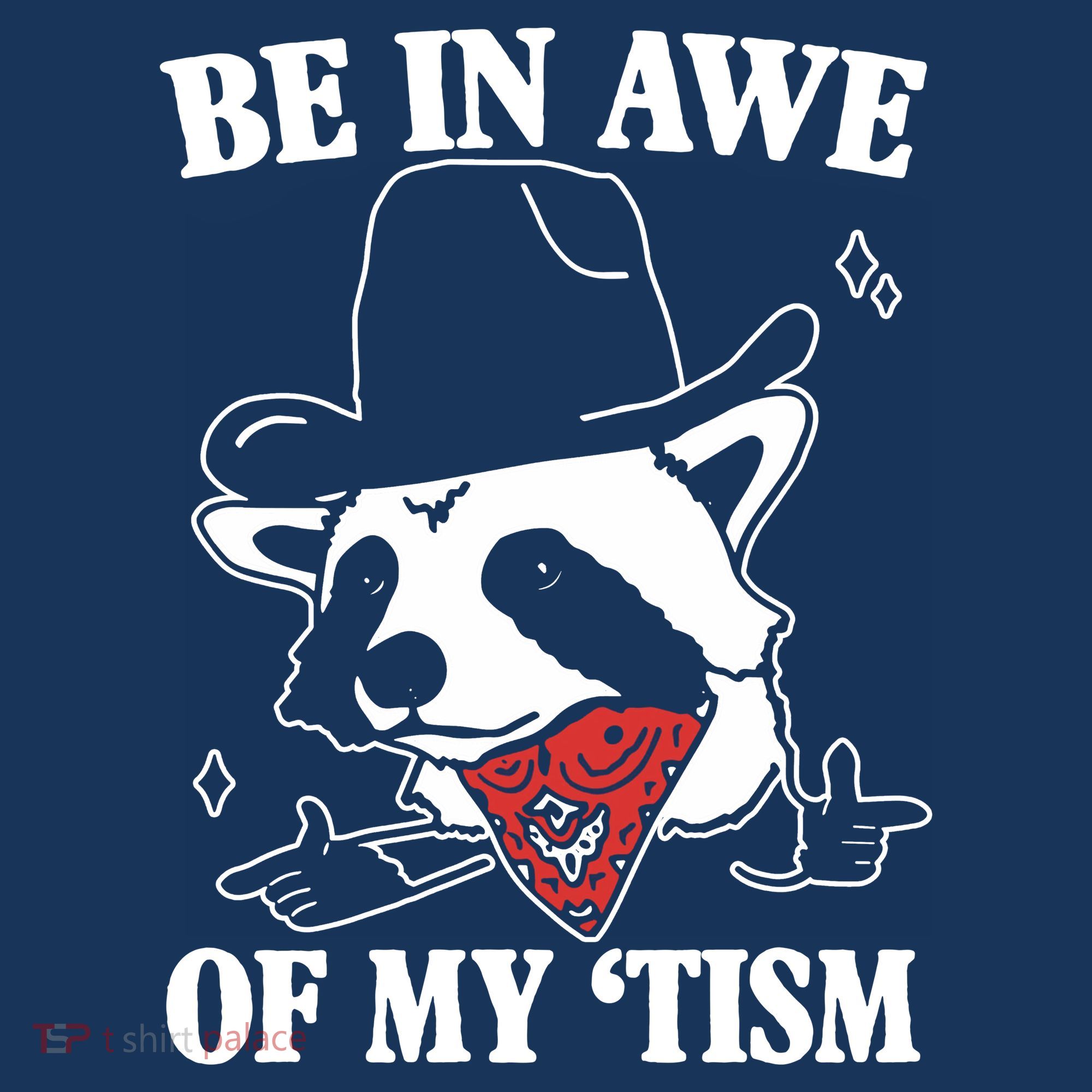 Be In Awe Of My Autism Funny Raccoon T-Shirt
