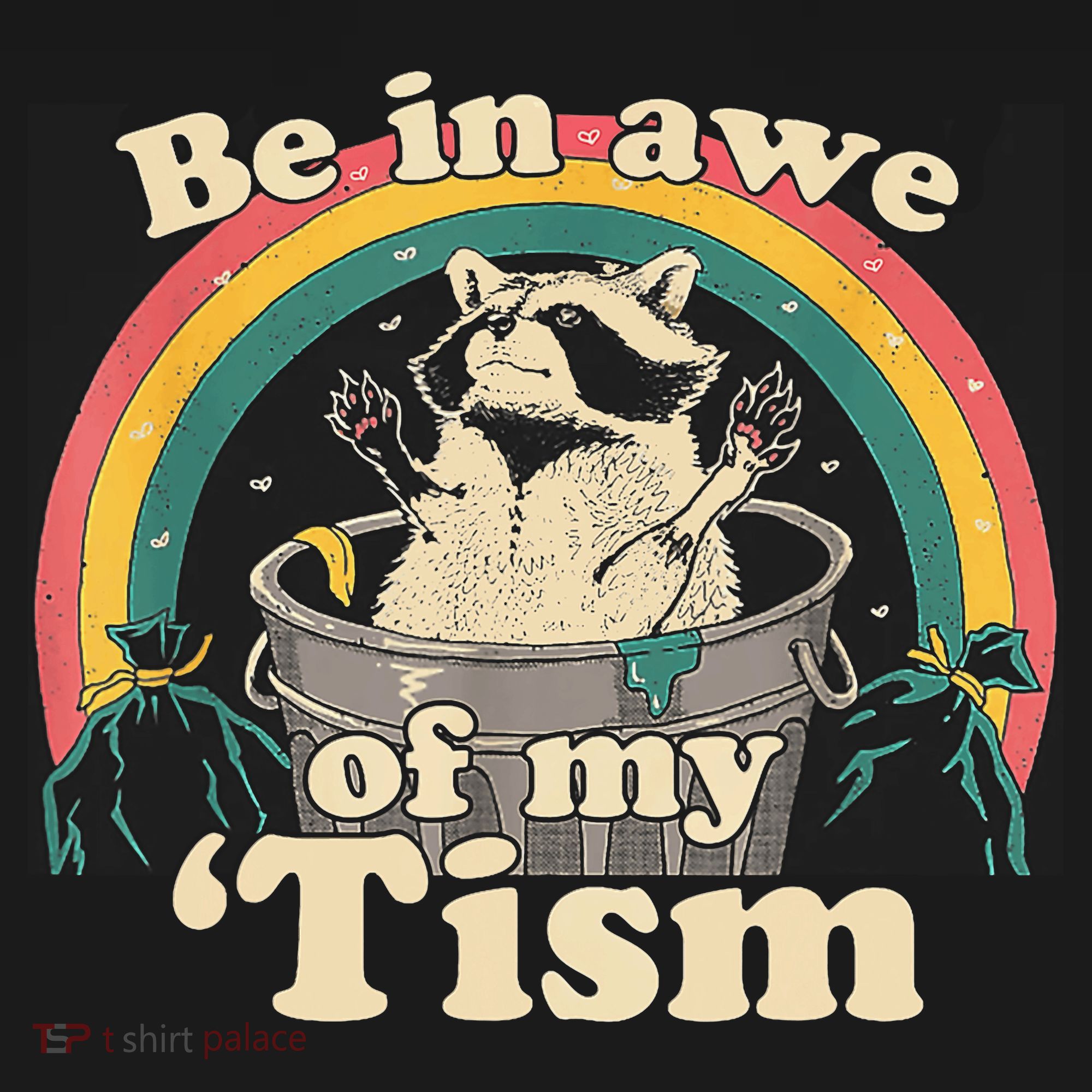 Be In Awe Of My Tism Raccoon T-Shirt