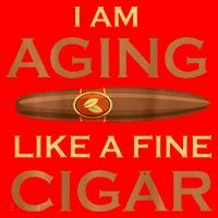 Backprint I Am Aging Like A Fine Cigar Santa Hat thumb 1