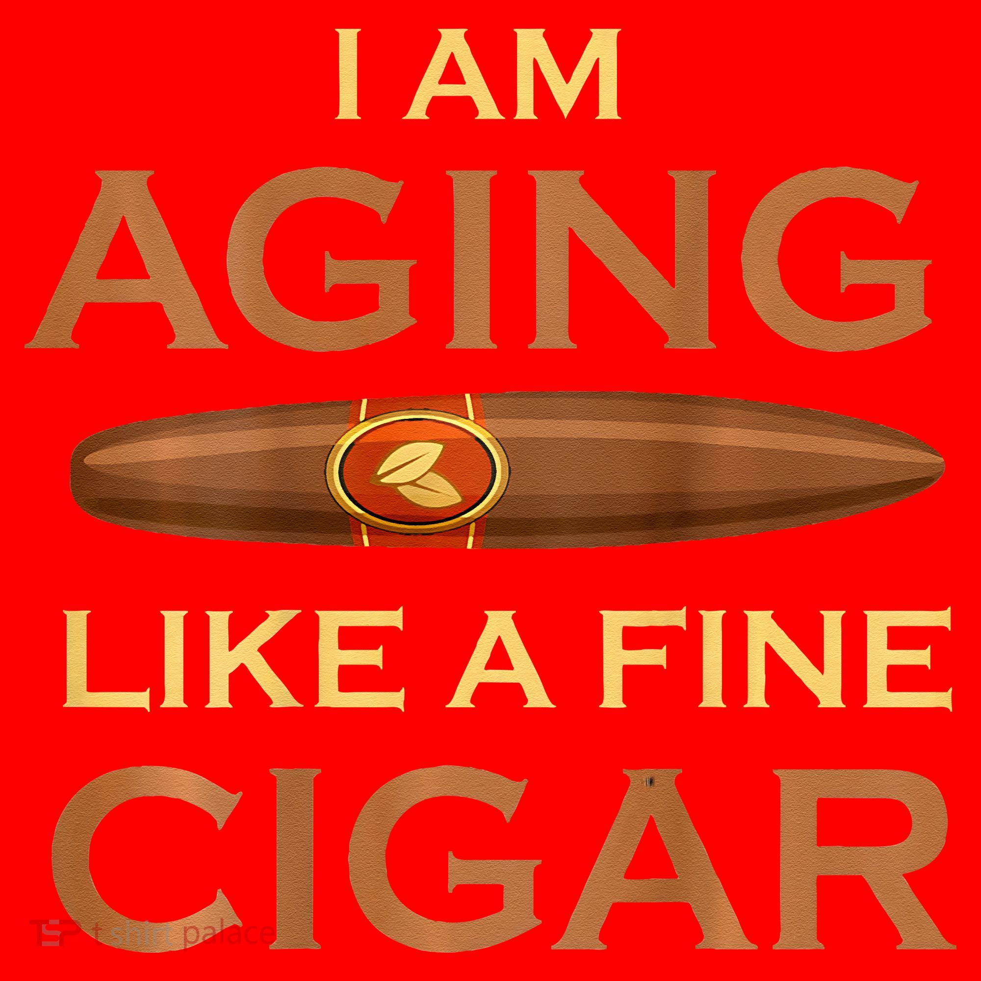 Backprint I Am Aging Like A Fine Cigar Santa Hat