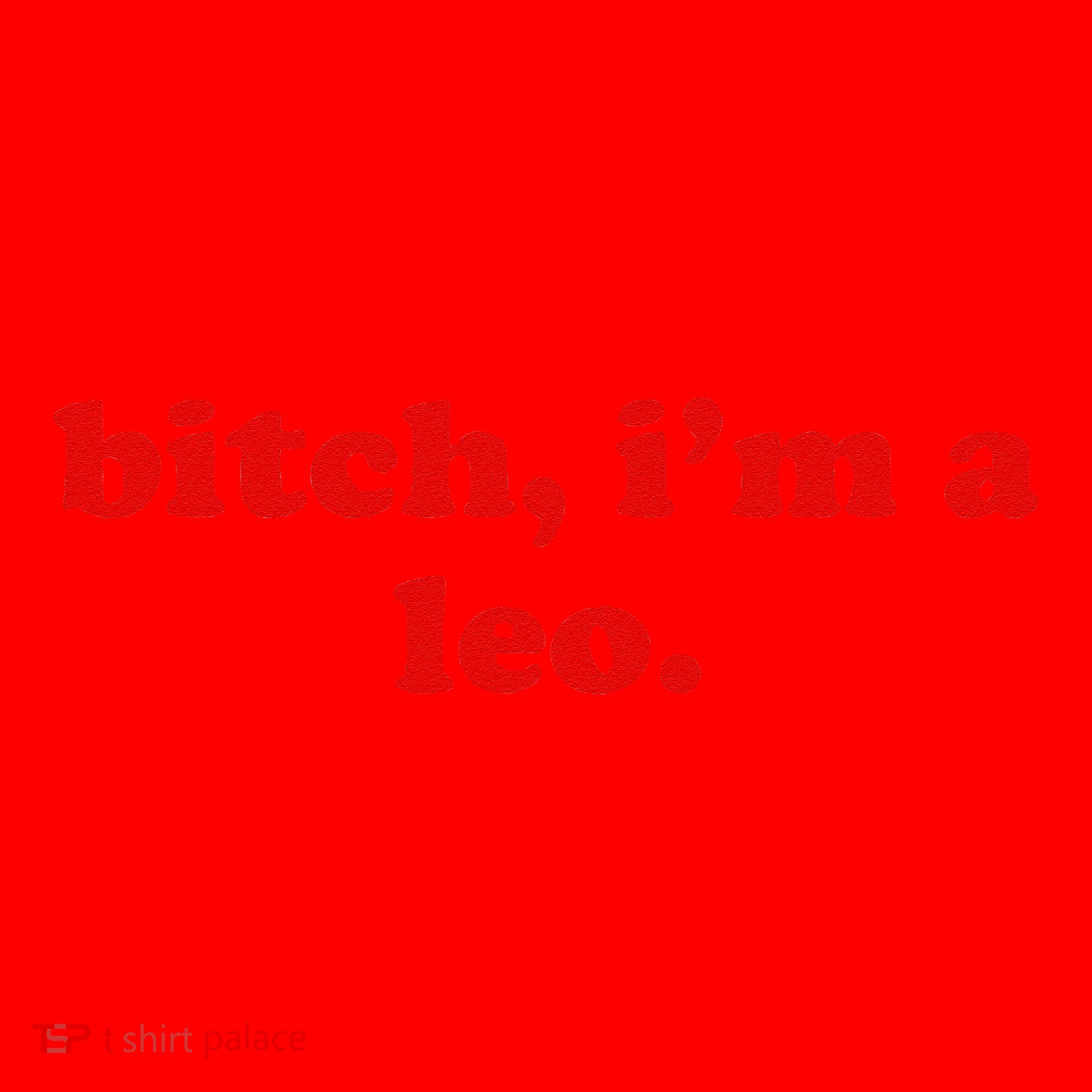 Bitch IM A Leo Gift Santa Hat