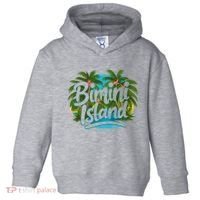Bimini Island Bahamas Toddler Hoodie thumb 0