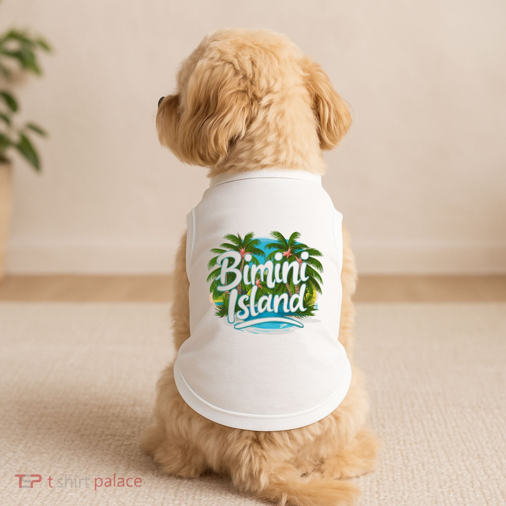 Bimini Island Bahamas Doggie Tank