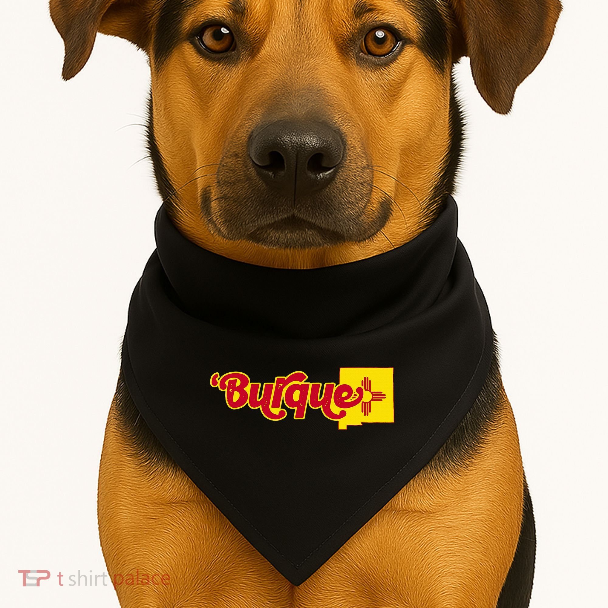 Born In Burque Albuquerque New Mexico Zia Sun Souvenir USA-Made Doggie Bandana