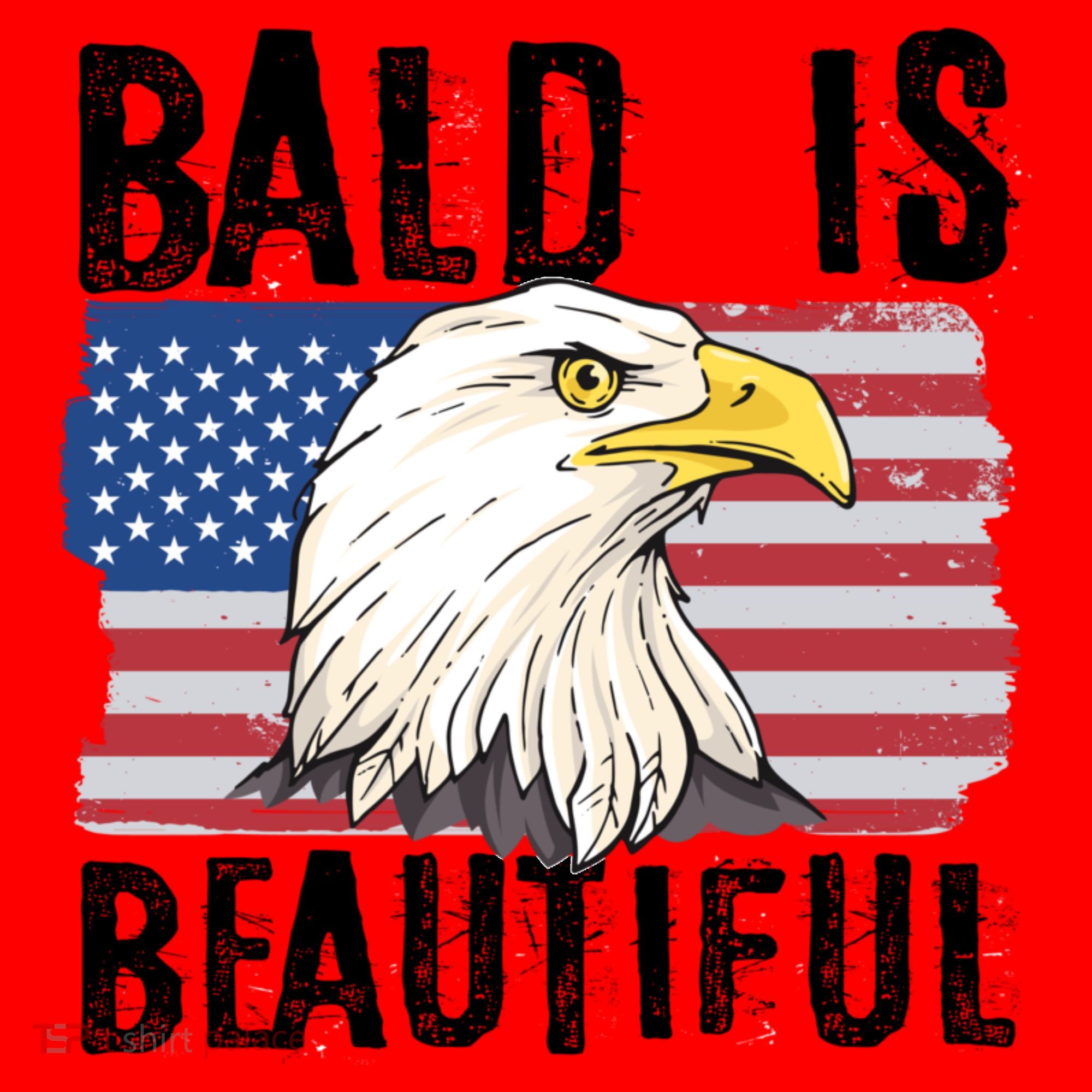 Bald Is Beautiful 4th Of July Independence Day Bald Eagle Santa Hat