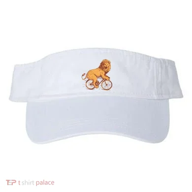 Visor