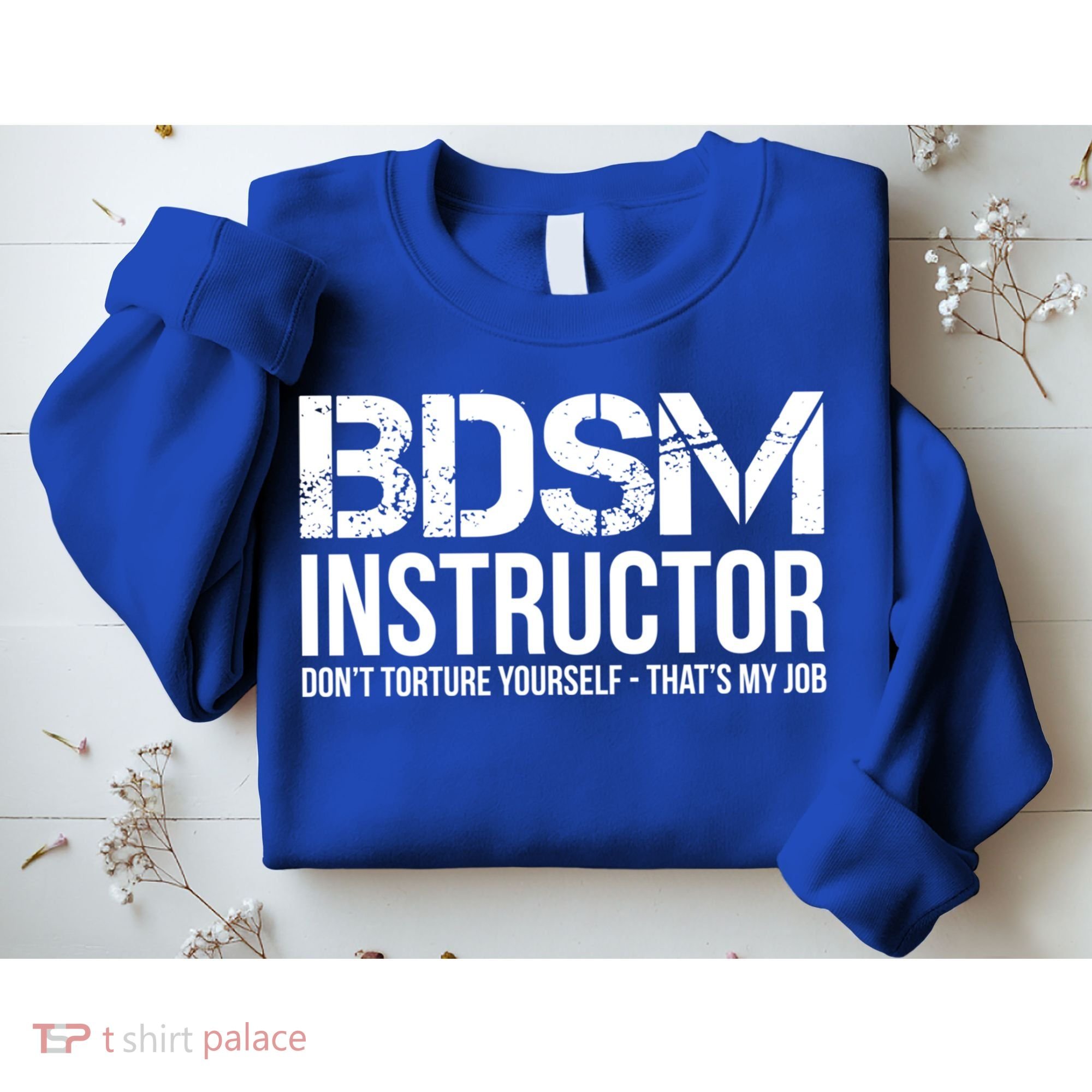 Bdsm Instructor Dont Torture Yours Cute Gift Sweatshirt