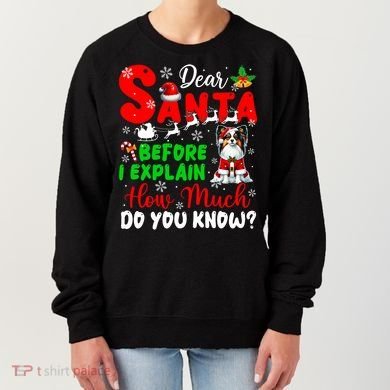 Before I Explain How Much You Know Xmas Papillon Owner Lover Women's Sweatshirt
