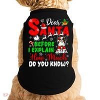 Before I Explain How Much You Know Xmas Papillon Owner Lover Doggie Tank thumb 0