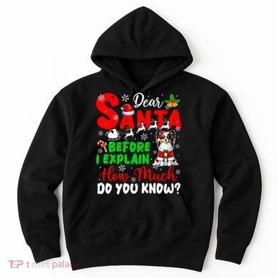 Before I Explain How Much You Know Xmas Papillon Owner Lover Hoodie