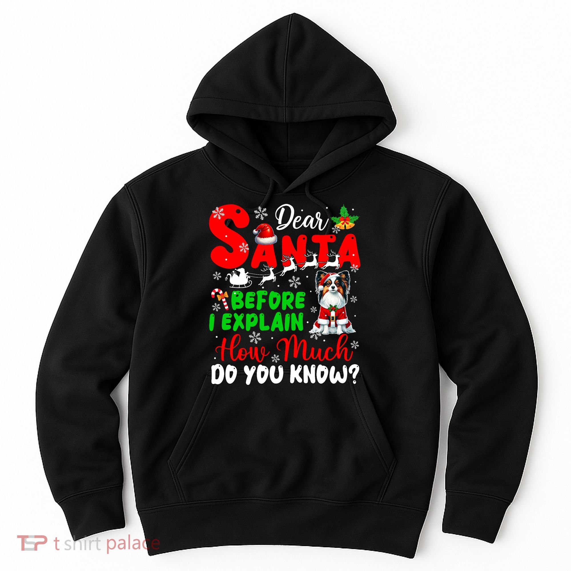 Before I Explain How Much You Know Xmas Papillon Owner Lover Hoodie