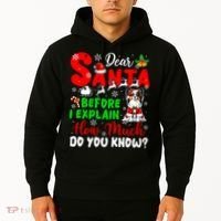 Before I Explain How Much You Know Xmas Papillon Owner Lover Hoodie thumb 2