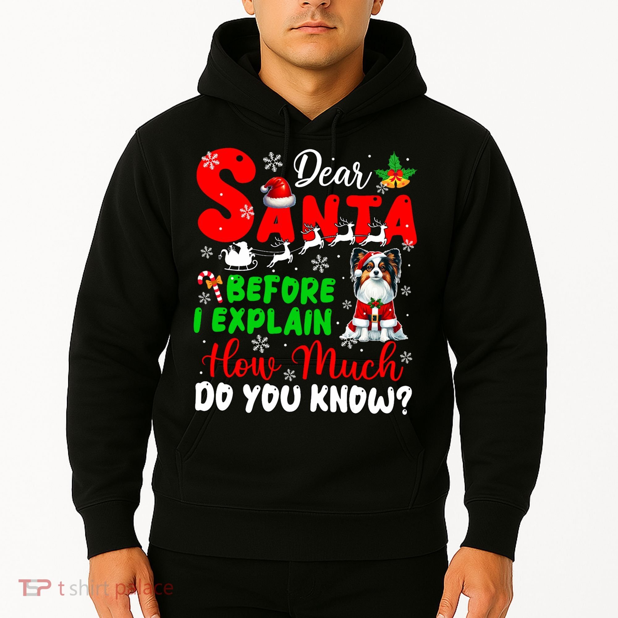 Before I Explain How Much You Know Xmas Papillon Owner Lover Hoodie