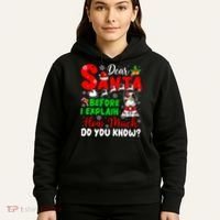Before I Explain How Much You Know Xmas Papillon Owner Lover Hoodie thumb 5