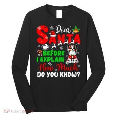 Before I Explain How Much You Know Xmas Papillon Owner Lover Long Sleeve Shirt