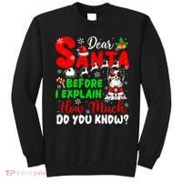 Before I Explain How Much You Know Xmas Papillon Owner Lover Sweatshirt thumb 0