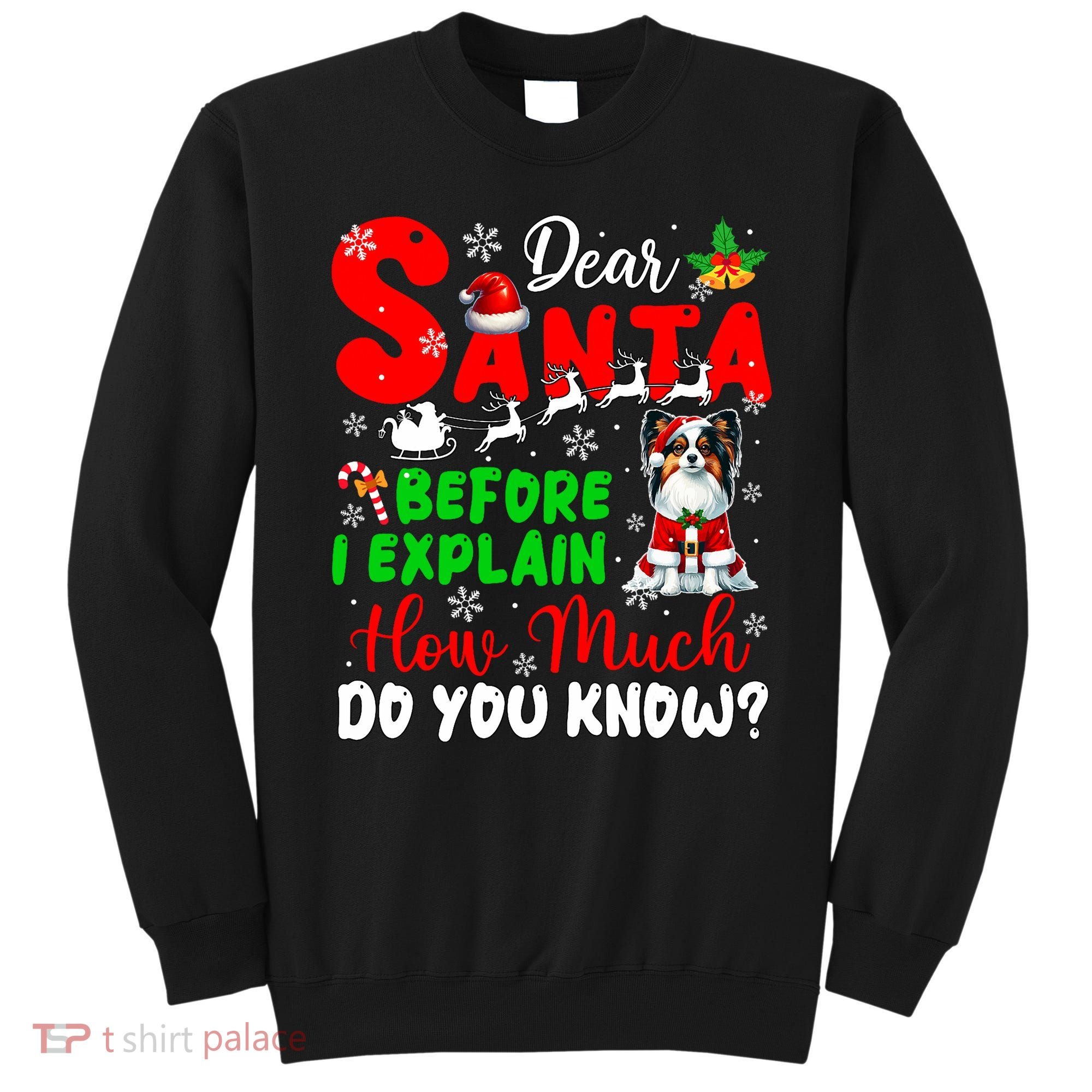 Before I Explain How Much You Know Xmas Papillon Owner Lover Sweatshirt