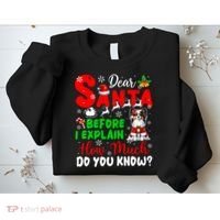 Before I Explain How Much You Know Xmas Papillon Owner Lover Sweatshirt thumb 2