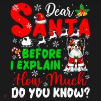 Before I Explain How Much You Know Xmas Papillon Owner Lover Sweatshirt thumb 3