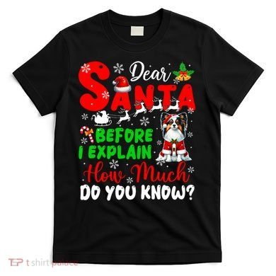 Before I Explain How Much You Know Xmas Papillon Owner Lover T-Shirt