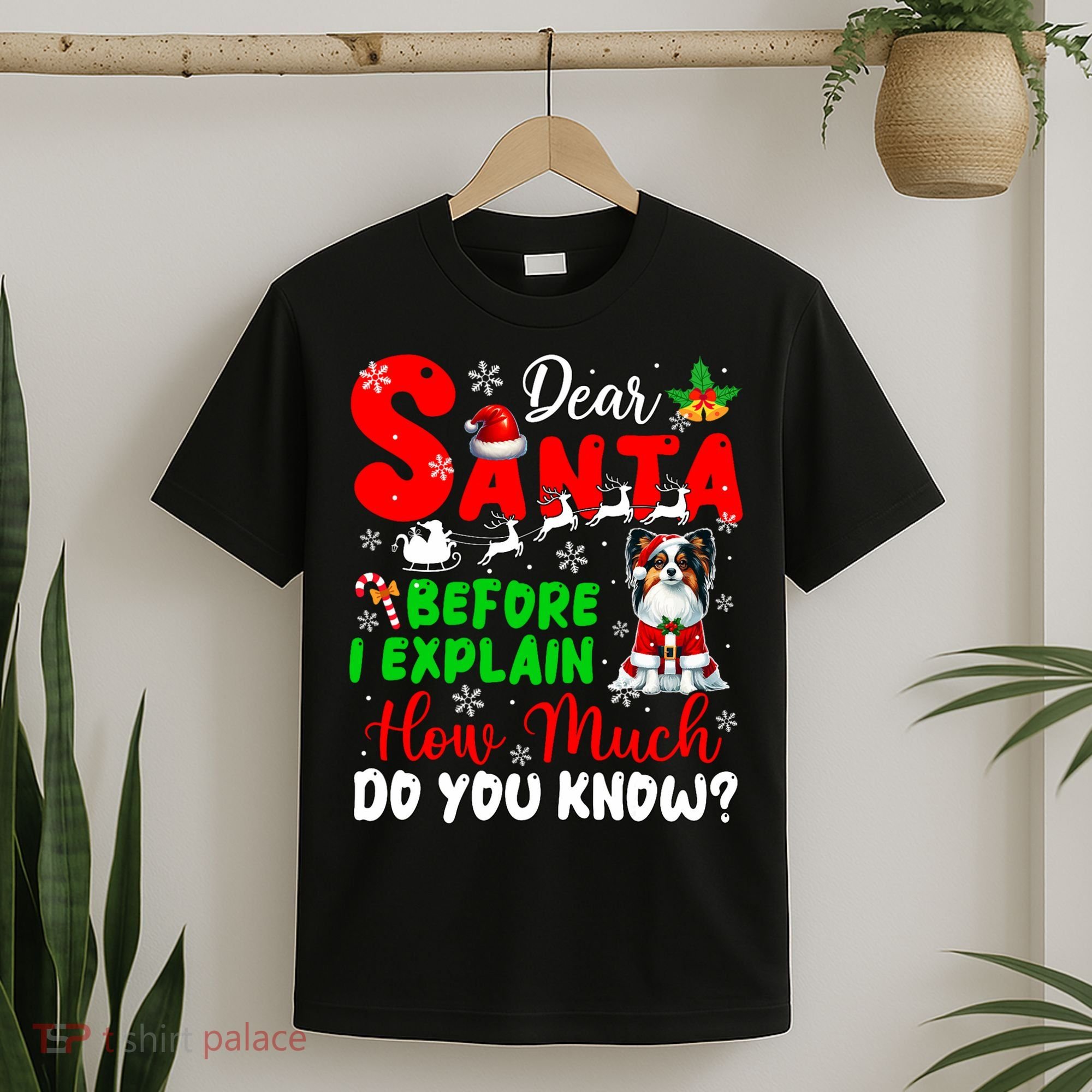 Before I Explain How Much You Know Xmas Papillon Owner Lover T-Shirt