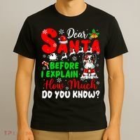 Before I Explain How Much You Know Xmas Papillon Owner Lover T-Shirt thumb 3