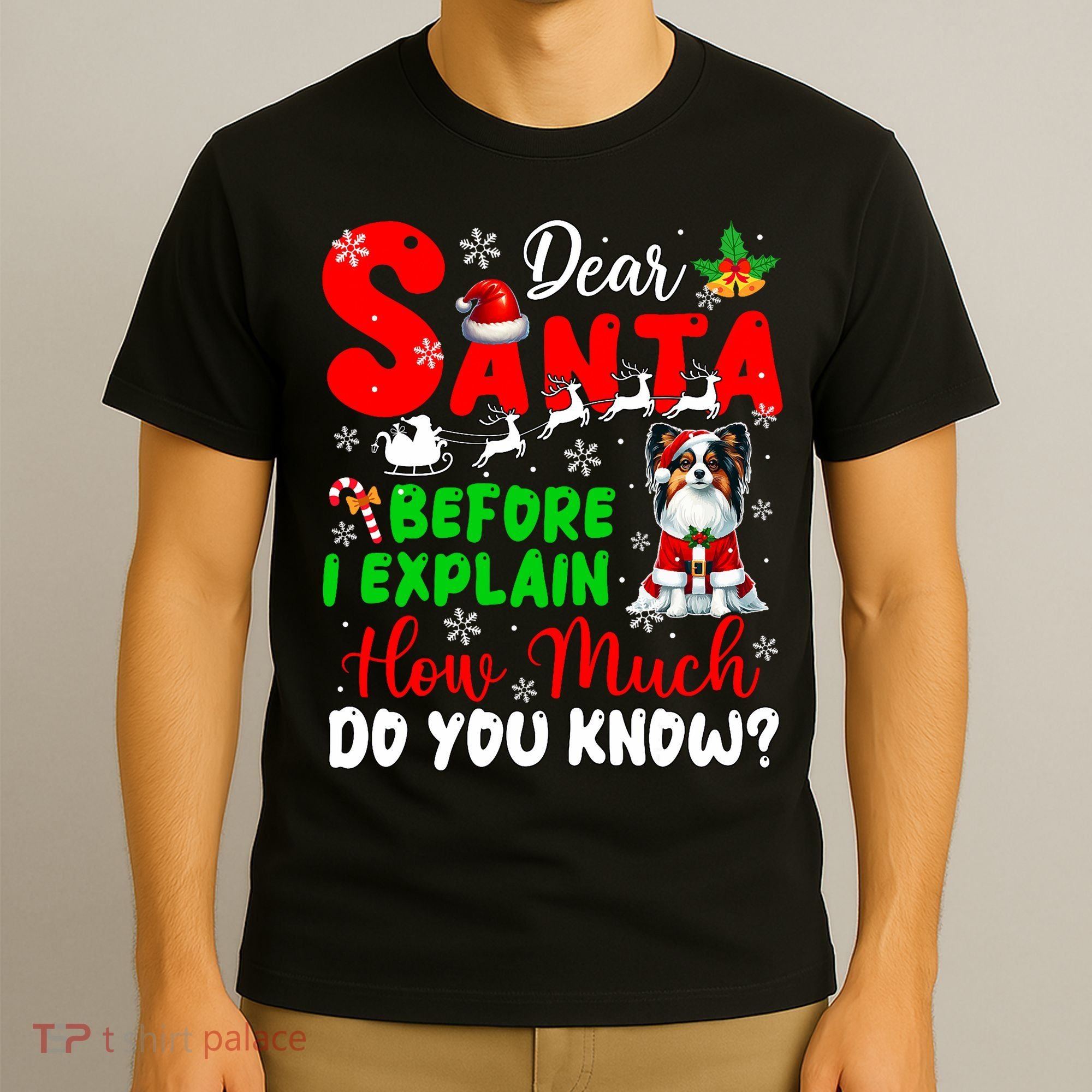 Before I Explain How Much You Know Xmas Papillon Owner Lover T-Shirt
