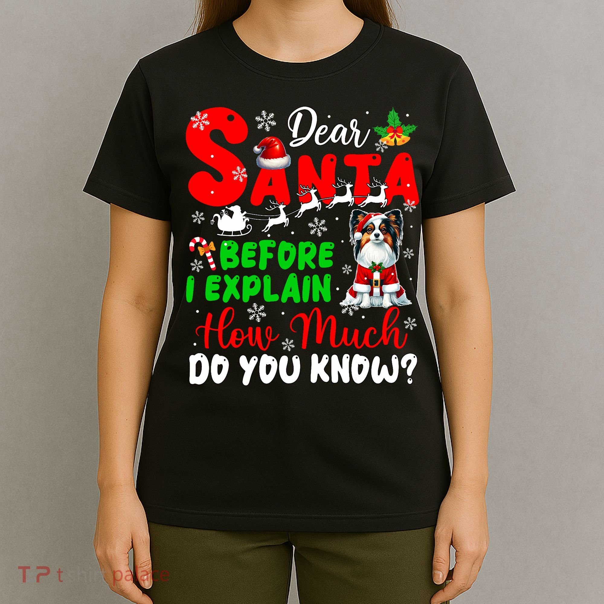 Before I Explain How Much You Know Xmas Papillon Owner Lover T-Shirt