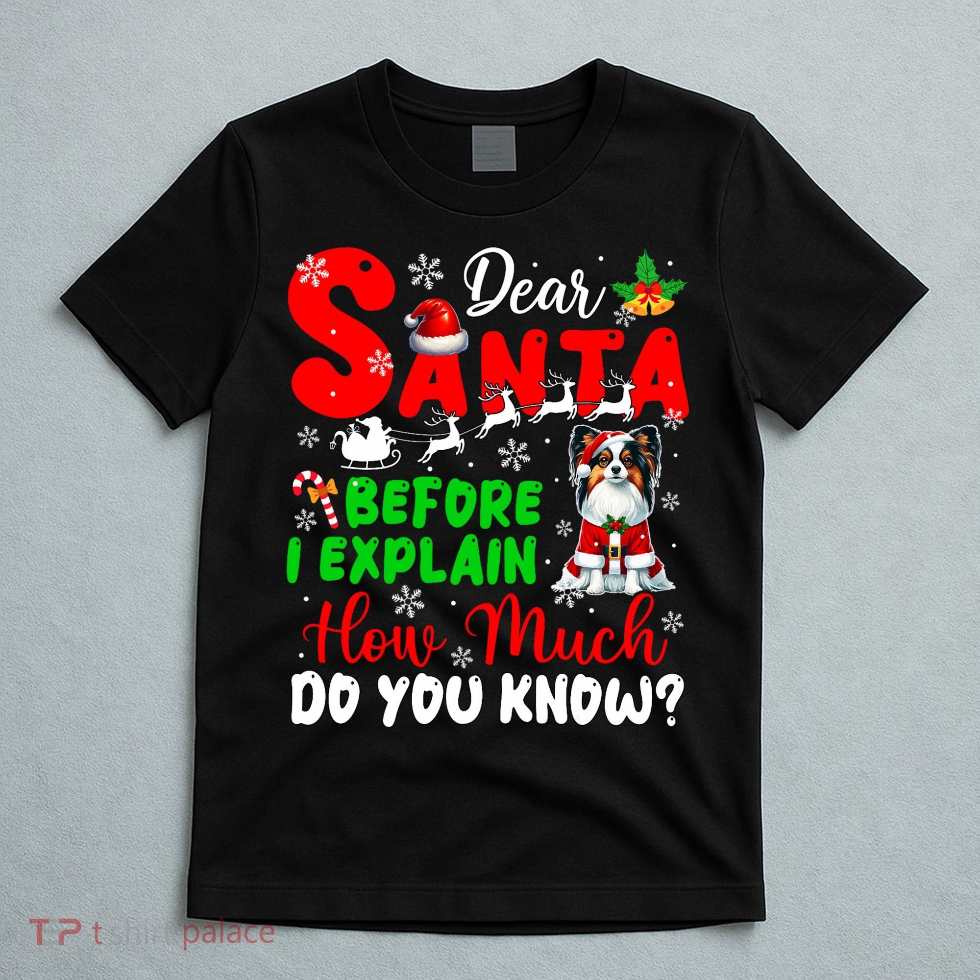 Before I Explain How Much You Know Xmas Papillon Owner Lover T-Shirt
